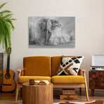 Sandstorm Black & White Print on Acrylic by Marcel Egger (24"H x 16"W x 0.25"D)