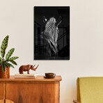 Stepping Down #6 Print on Acrylic by Christian Meermann (16"H x 24"W x 0.25"D)