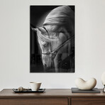 White Stallion Print on Acrylic by Ulrike Leinemann (16"H x 24"W x 0.25"D)