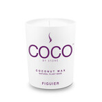 6.5oz and 11oz Coconut Candle + 5oz Reed Diffuser + 5oz All-in-One Spray // Figiuer Set