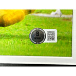 Vince Young Autographed Texas Longhorns 16x20 Photo Signed 2006 Framed Rose Bowl