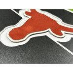 Vince Young Autographed Texas Longhorns 16x20 Photo Signed 2006 Framed Rose Bowl