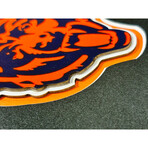 Dick Butkus Autographed Chicago Bears 16x20 Framed Photo