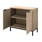 Briar 2 Door Accent Cabinet