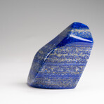 Genuine Polished Lapis Lazuli Freeform V.8