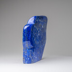 Genuine Polished Lapis Lazuli Freeform V.10