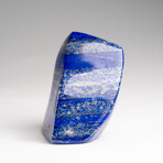 Genuine Polished Lapis Lazuli Freeform V.8