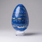 Genuine Polished Lapis Lazuli Egg with acrylic display stand