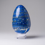 Genuine Polished Lapis Lazuli Egg with acrylic display stand
