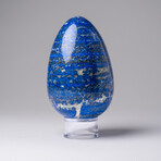 Genuine Polished Lapis Lazuli Egg with acrylic display stand