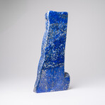 Genuine Polished Lapis Lazuli Freeform V.12