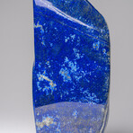 Genuine Polished Lapis Lazuli Freeform V.14