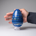 Genuine Polished Lapis Lazuli Egg with acrylic display stand