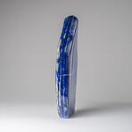 Genuine Polished Lapis Lazuli Freeform V.14