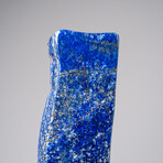 Genuine Polished Lapis Lazuli Freeform V.12