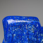 Genuine Polished Lapis Lazuli Freeform V.10