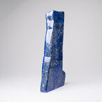 Genuine Polished Lapis Lazuli Freeform V.12