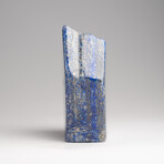 Genuine Polished Lapis Lazuli Freeform v.5