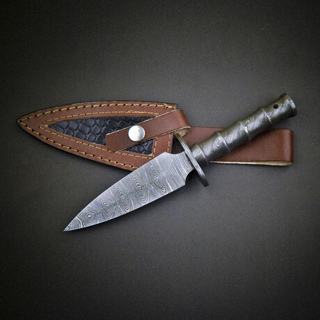 The Saber Tooth