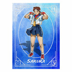 Street Fighter Alpha: Warriors' Dream // Master Case - 96 Packs