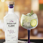 Peruvian Gin Bundle // Amazonian Gin, GIN'CA Berries Edition Gin, Andean Gin