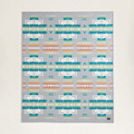 Chief Joseph Twin Blanket // Gray
