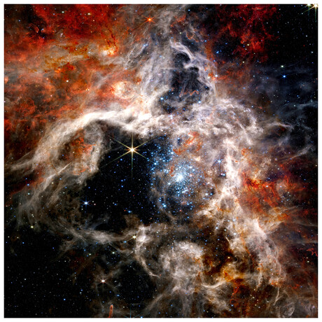 The Tarantula Nebula Frameless Free Floating Reverse Printed Tempered Art Glass Wall Art