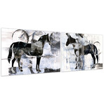 Equestrian Essence I & II Horse Frameless Free Floating Reverse Printed Tempered Art Glass Wall Art
