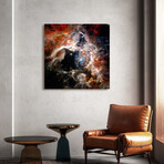 The Tarantula Nebula Frameless Free Floating Reverse Printed Tempered Art Glass Wall Art