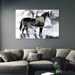 Equestrian Essence I & II Horse Frameless Free Floating Reverse Printed Tempered Art Glass Wall Art