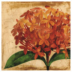 Vibrant Antique Hydrangea Frameless Free Floating Reverse Printed Tempered Art Glass Wall Art