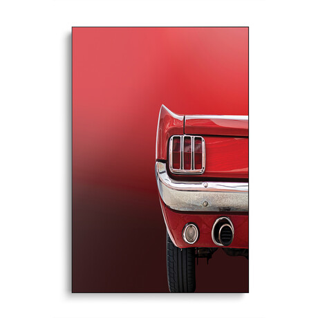 The Red Mustang by Roland Weber