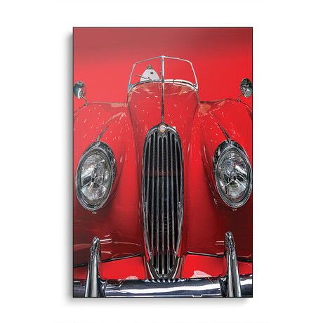 The Red Jaguar by Roland Weber