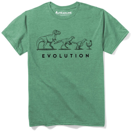 Evolution Of The Dinosaur T-Shirt // Kelly Heather (S)