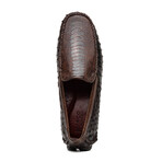 Alba // Ostrich Leg Leather Drivers // Tabacco (US: 7)