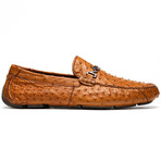 Bolonia // Ostrich Leg Leather Drivers // Brandy (US: 7)