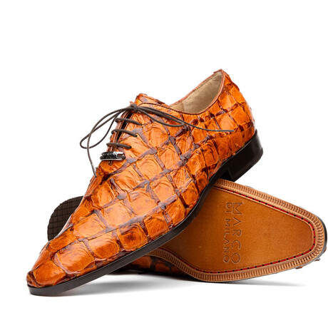 Olivieri // Pirarucu Leather Oxford Shoes // Brandy (US: 7)