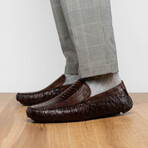 Alba // Ostrich Leg Leather Drivers // Tabacco (US: 7)