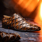 Olivieri // Pirarucu Leather Oxford Shoes // Light Brown (US: 8)