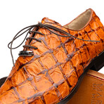 Olivieri // Pirarucu Leather Oxford Shoes // Brandy (US: 7)