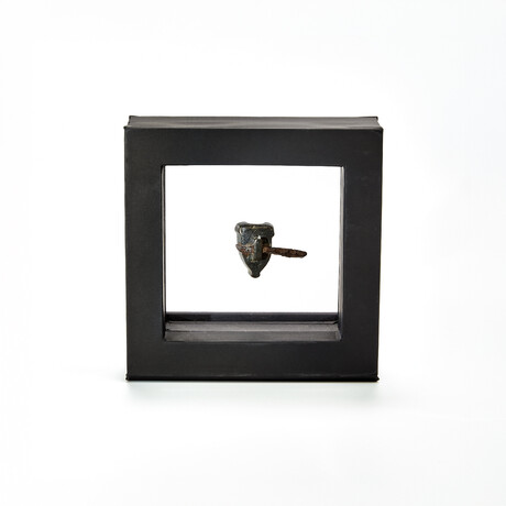 Late Medieval Bronze And Iron Bullet Mold