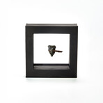 Late Medieval Bronze And Iron Bullet Mold