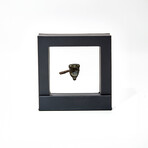 Late Medieval Bronze And Iron Bullet Mold
