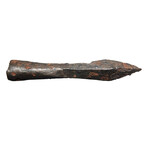 Medieval Iron Crossbow Bolt // Castle Altwolfstein, Germany