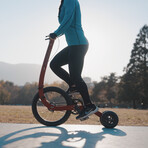 Halfbike // Chile (S: 4'11" - 5'3" (≤187 lb))