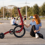 Halfbike // Chile (S: 4'11" - 5'3" (≤187 lb))