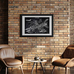 F-16 Falcon by Joseph Fernando (16"H x 24"W x 1"D)