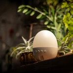 3-in-1 White Noise, Night Light & Bluetooth Speaker // White