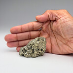 Genuine Medium Pyrite Ore