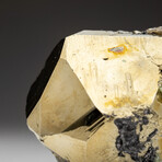 Pyrite from Huaron District, Cerro de Pasco Province, Pasco Department, Peru